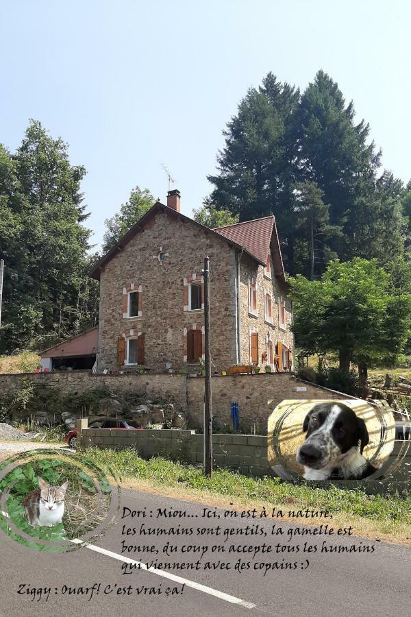 E Lu Chantauziau Privatunterkunft *